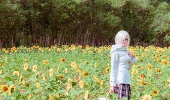 双人塔塔_Lo1iTa，作品里又藏了哪些不为人知的小心思？