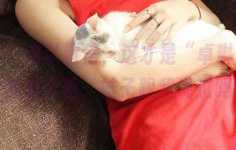 青豆客 – 难以置信，这才是“卓琳妹妹”的免费套图，妹子跟我说过吗？